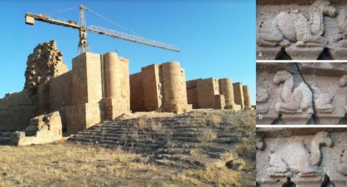 The ancient temple and relief depicting 3 different species of camels