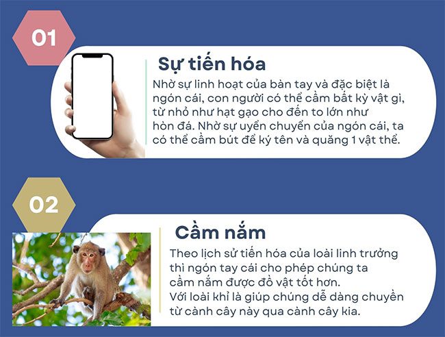 ngon tay cai 1