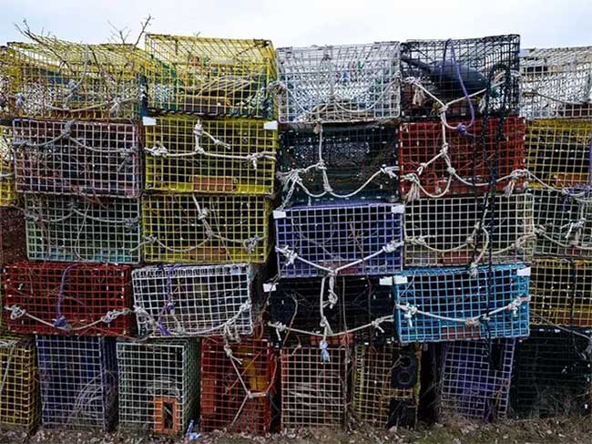 Traditional lobster fishing gear using long ropes.
