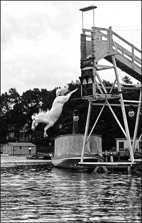 Most people consider horse diving to be cruel to animals.