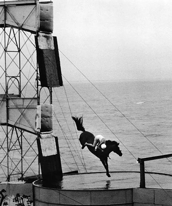 In the United States, horse diving is not illegal.