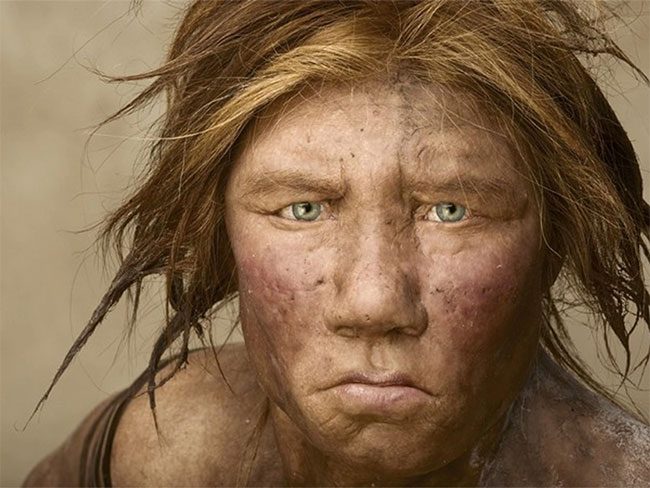Neanderthals effectively assimilated into our gene pool.