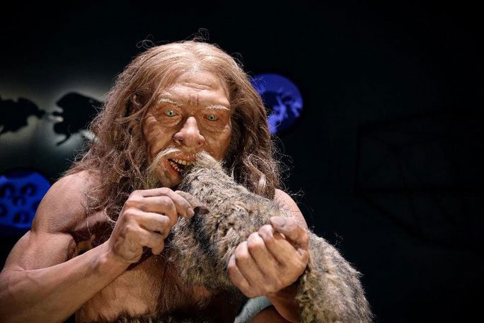 Ancient Neanderthal Humans