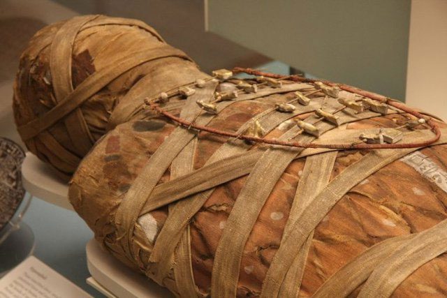 The increase in sub-Saharan genes has only occurred in the last 1,500 years.