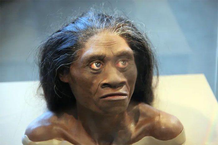 Reconstruction of what Hobbits looked like in their daily life