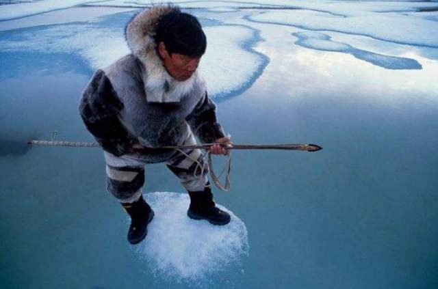 The Inuit find the seals' breathing holes in the ice, standing still, weapon in hand, waiting silently.
