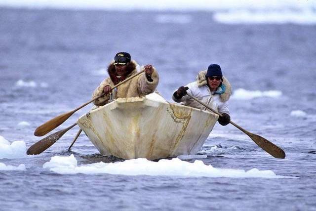 The Inuit travel to the sea using Arctic kayaks.