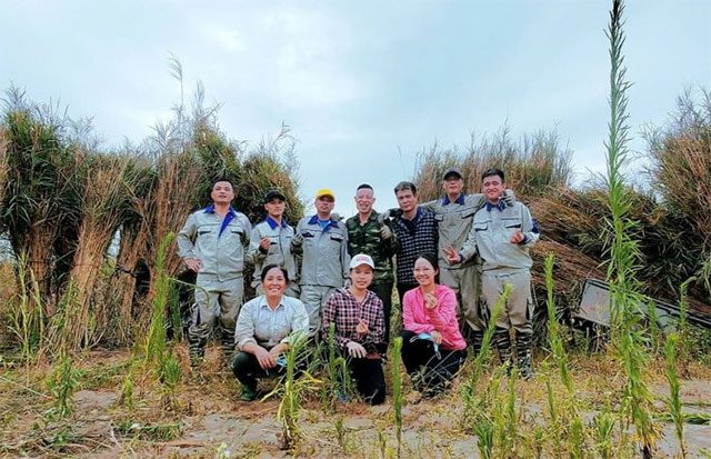 Reed grass straws provide employment for many local people.