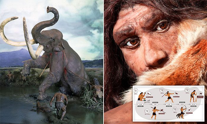 From ancient times to now, the position of humans in the food chain has decreased.