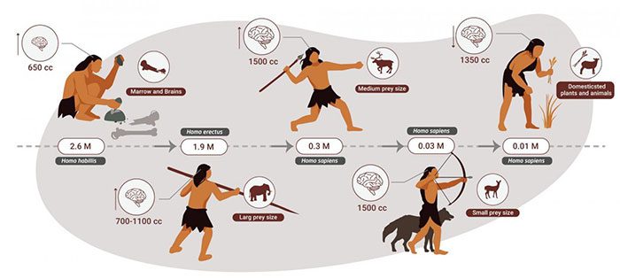 In ancient times, humans almost consumed all the creatures they killed.