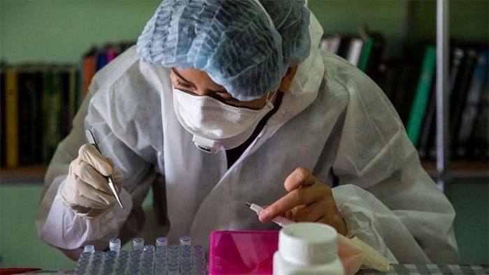 Langya henipavirus (LayV) is a virus that transmits from animals to humans.