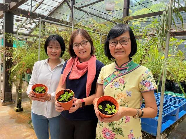 Research team photo with "detox" plants.