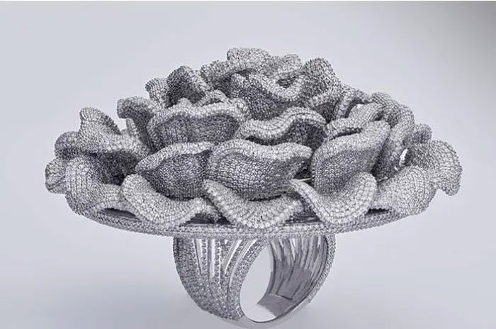 nhan dinh kim cuong