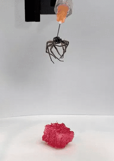 Dead spider activated to pick up objects.