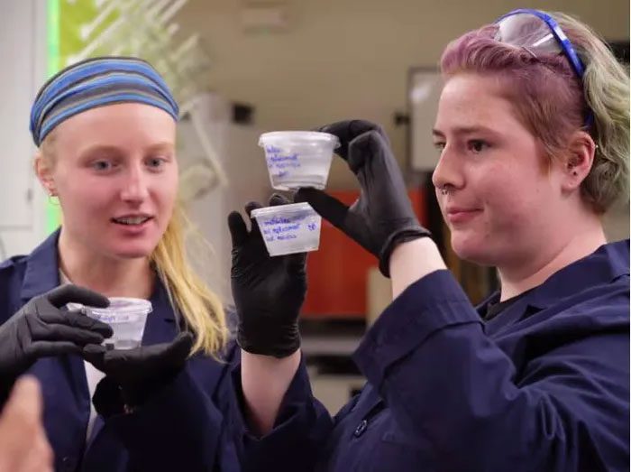 Students working on carbon-neutral cement using biological limestone at the University of Colorado Boulder.