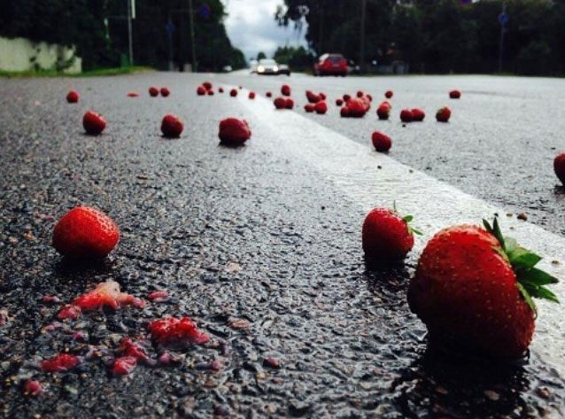 Strawberry scent does not affect the quality of asphalt.