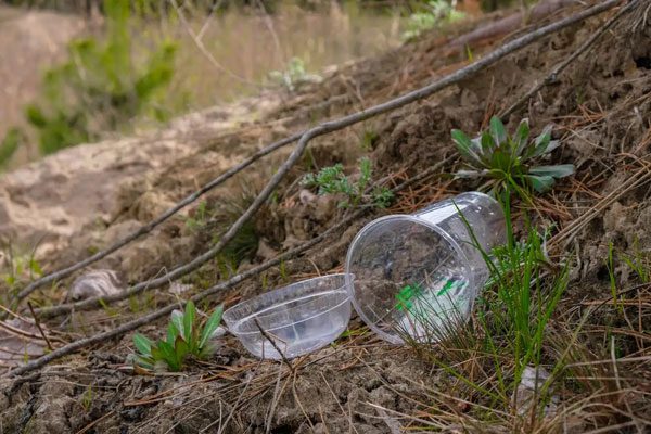 All plastics, including biodegradable ones, can still cause harm when improperly disposed of in the environment.