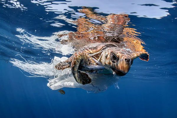 Biodegradable plastics merely distract users from the larger issues humanity faces.