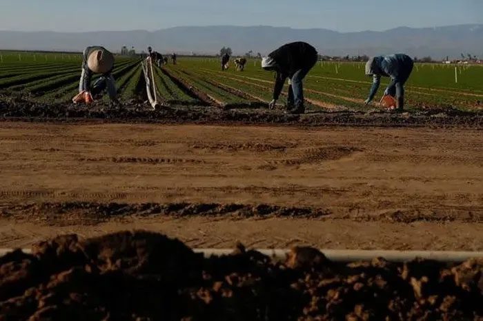 This farm is located in Kern County, California (USA).