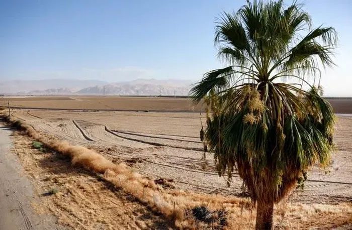 The Central Valley of California is parched due to climate change.