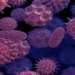 north vice scientific theory of virus inflation coming from laboratory in china and ukraine 120797