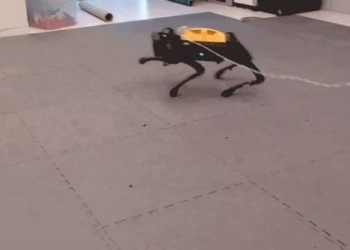 not programmed before but these robots can learn on their own 121921