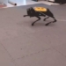 not programmed before but these robots can learn on their own 121921