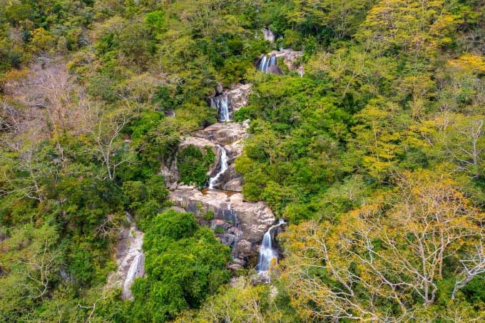 Flora of the core area at Mount Chua Biosphere Reserve, Ninh Thuan.
