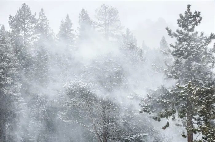 Kirkwood Mountain