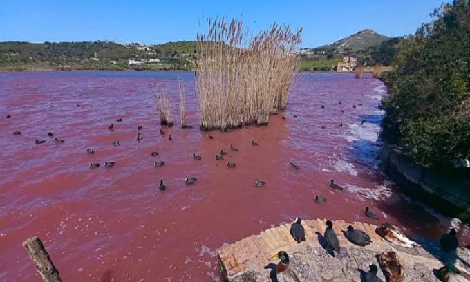 Vivid red waters near Campi Flegrei volcano.
