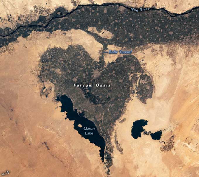 Heart-shaped Faiyum Oasis located below the Nile River