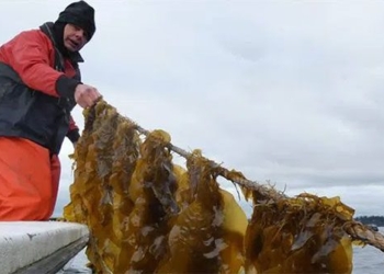 ocean treasures unique special beneficial for securing the future of humanity 120621