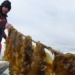 ocean treasures unique special beneficial for securing the future of humanity 120621
