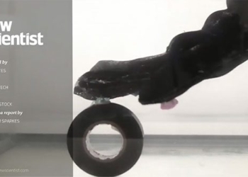 octopus gloves help grip objects underwater 121747