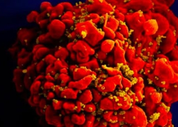 oldest hiv patient cured 122035