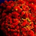 oldest hiv patient cured 122035