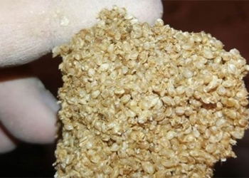 opening the tomb discovered golden threads penetrating 2 000 years 119398