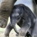 painful long story with mother affirming child with forest 120629
