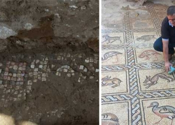 palestinian farmer in gaza discovers rare ancient artifact 123069