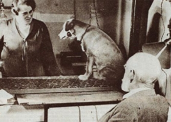 pavlovs dog experiment psychological revolution 124092