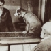 pavlovs dog experiment psychological revolution 124092