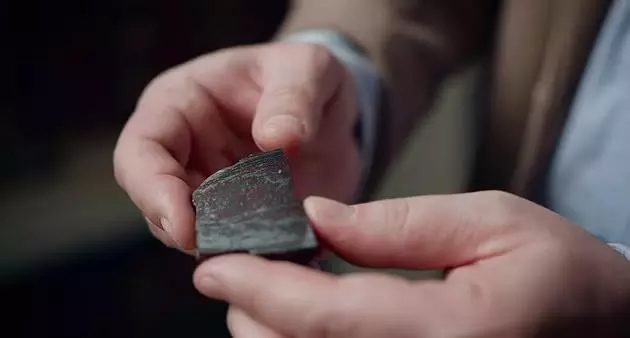 The stone contains structures of a primitive organism