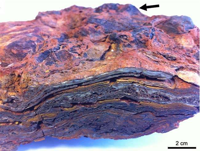 An ancient stalactite containing Stromatolite