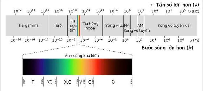 Visible spectrum or visible light