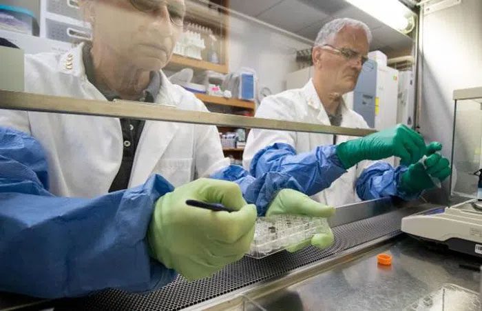 Research results published in Communications Biology on May 12.