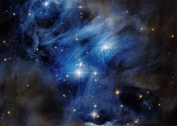 photo garden cultivating beautiful stars far away 522 light years 118683