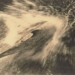 pig fish guide boat through new zealand strait in 24 years 118682