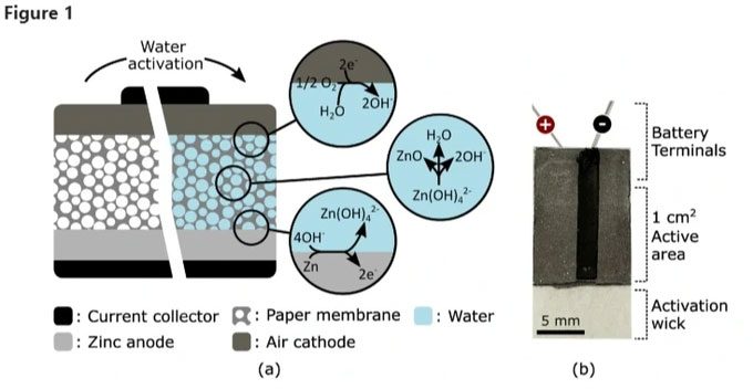 The battery begins generating energy about 20 seconds after water is added to the solution.