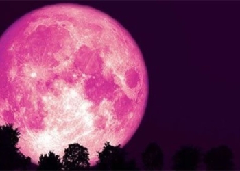 pink page appears this weekend 119982