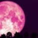 pink page appears this weekend 119982